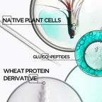 Kerastase Resistance Bain Therapiste Shampoo | Grocsy