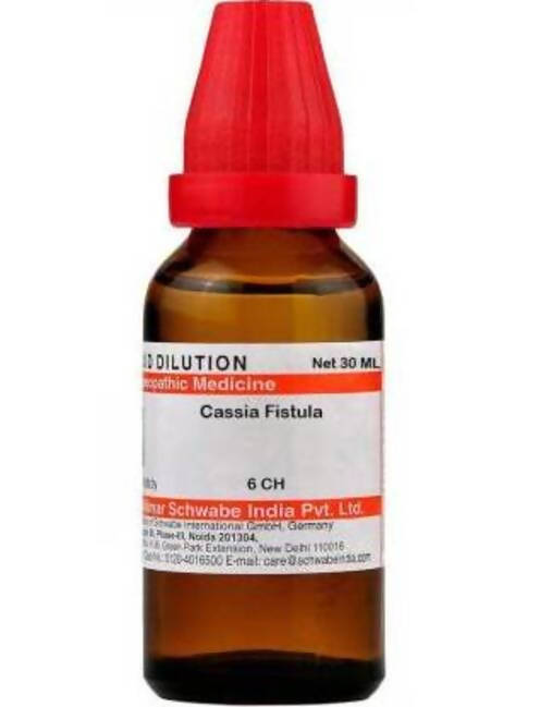 Dr. Willmar Schwabe India Cassia Fistula Dilution | Grocsy
