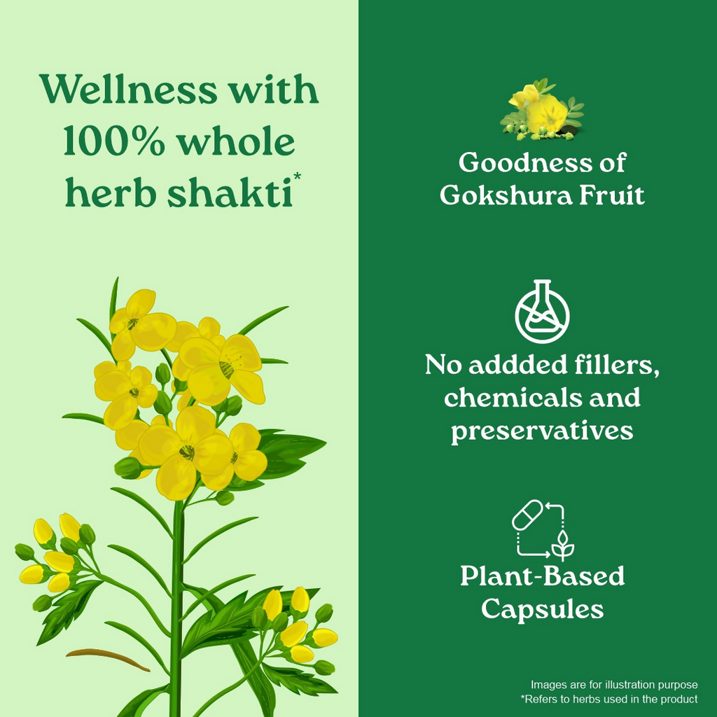 Organic India Gokshura Capsules | Grocsy