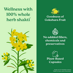 Organic India Gokshura Capsules | Grocsy
