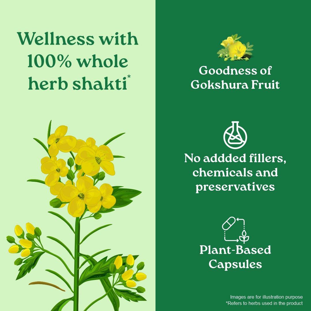 Organic India Gokshura Capsules | Grocsy
