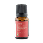 Bipha Ayurveda Frankinscence Essential Oil | Grocsy