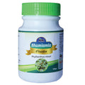 Wilson Bhumi amla Powder | Grocsy