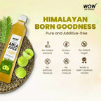 Wow Life Science Himalayan Amla Juice | Grocsy