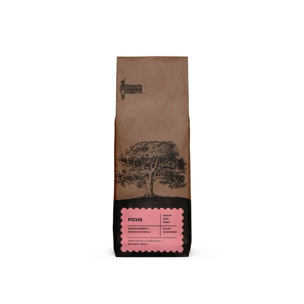 Black Baza Coffee Ficus | Grocsy