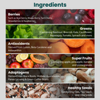 Supply6 360 Daily Health Supplement 63+ Nutrient, Multivitamin, 3B CFU Probiotic & Superfood | Grocsy