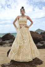 House of Panchhi Cream Net Multi Sequins with heavy Zarkan embroidery Lehenga choli & Dupatta | Grocsy
