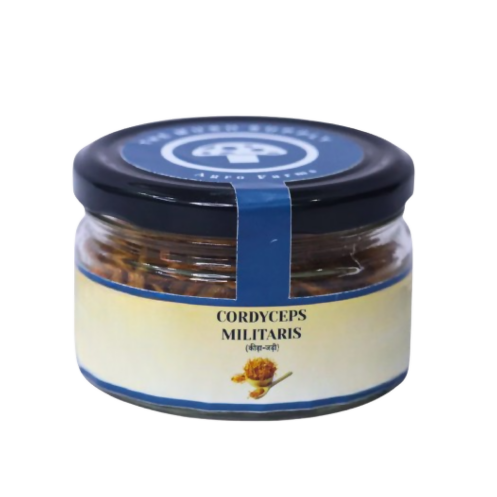 The Mush Supply Agro Farms Cordyceps Dried Fruiting Body | Grocsy
