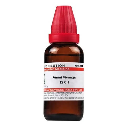 Dr. Willmar Schwabe India Ammi Visnaga Dilution | Grocsy