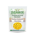 Yuvagrow Mango Kishmish Chocolates | Grocsy