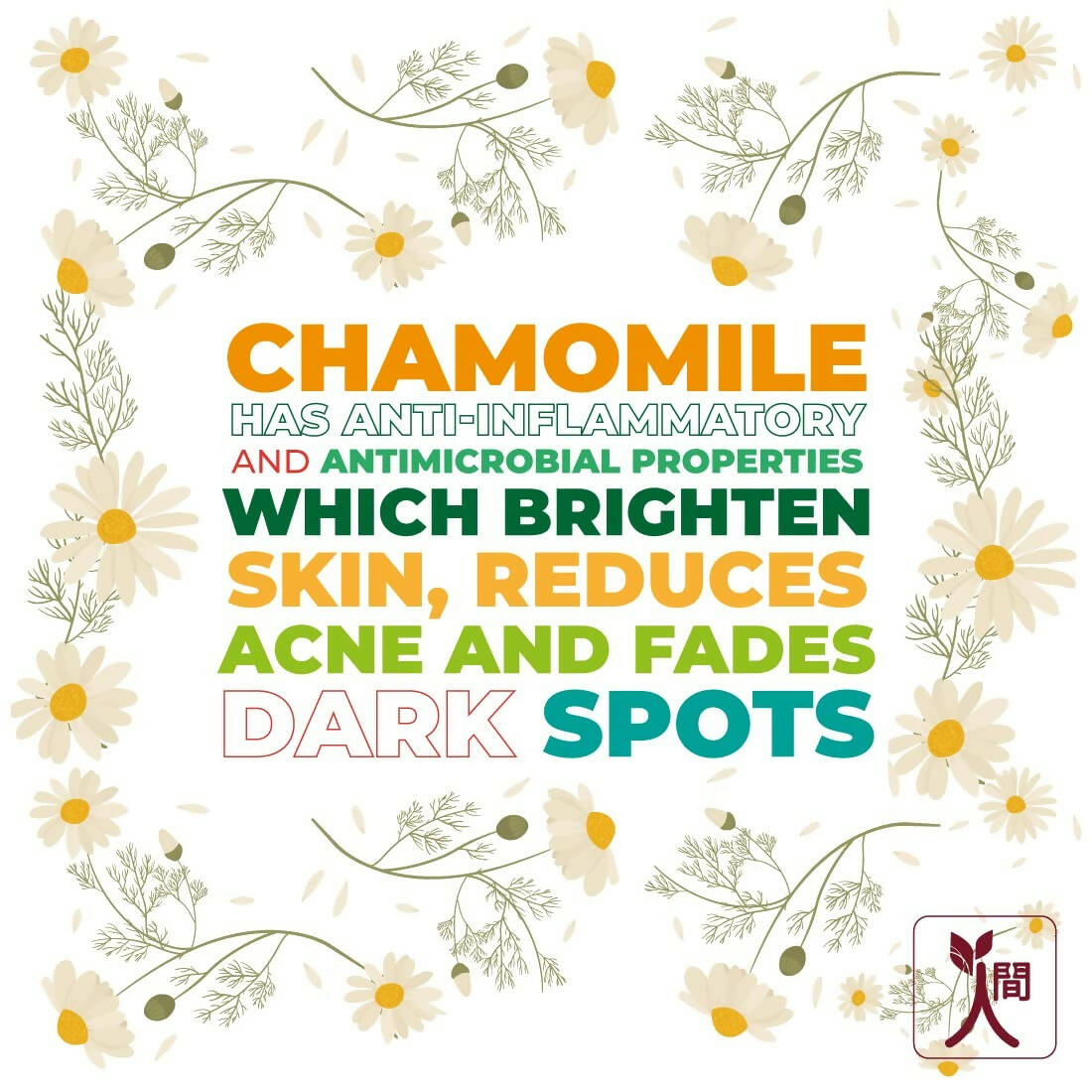 Ningen Chamomile Hair Serum | Grocsy