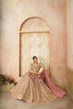 Kesar Fab Chiku Banarasi Silk Embroidered Lehenga | Grocsy