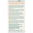 Himalaya Herbals Organic Neem Caplets | Grocsy