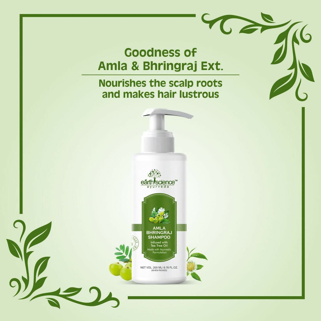 Earth Science Ayurveda Amla & Bhringraj Shampoo | Grocsy