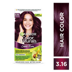 Garnier Color Naturals Creme Riche Hair Color - Shade 3.16 Burgundy | Grocsy