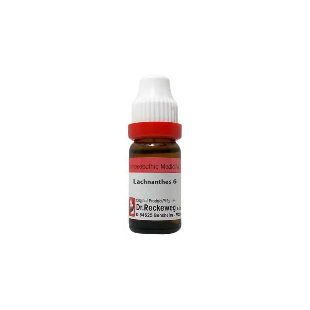 Dr. Reckeweg Lachnanthes Dilution | Grocsy