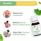 Naturalis Essence of Nature Peppermint Essential Oil | Grocsy