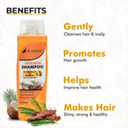 Dr.Sakhiya Shikakai Hair Growth Shampoo Ayurvedic for Strong, Healthy Hair | Grocsy