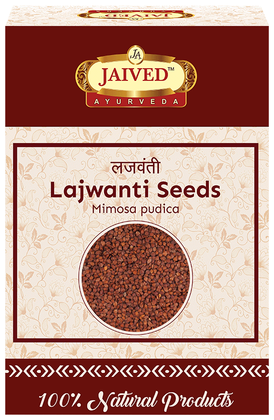 Jaived Ayurveda Sensitive Plant Lajwanti Seeds | Grocsy