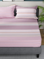 Nautica Bradford Pink & White Striped Cotton 160 TC King Bedsheet with 2 Pillow Covers | Grocsy