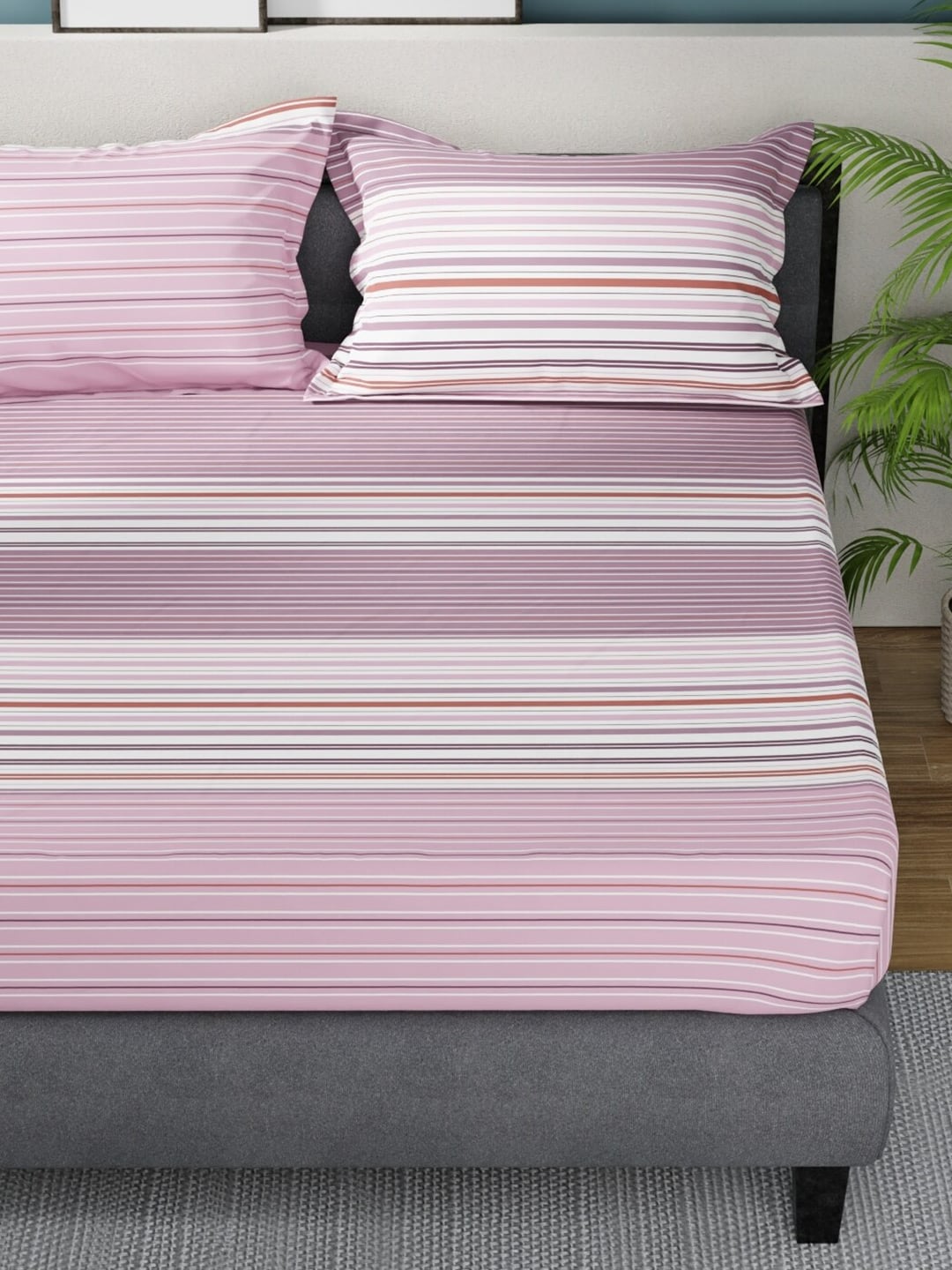 Nautica Bradford Pink & White Striped Cotton 160 TC King Bedsheet with 2 Pillow Covers | Grocsy