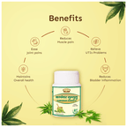 Jaived Ayurveda Kanchnar Guggulu Tablet | Grocsy