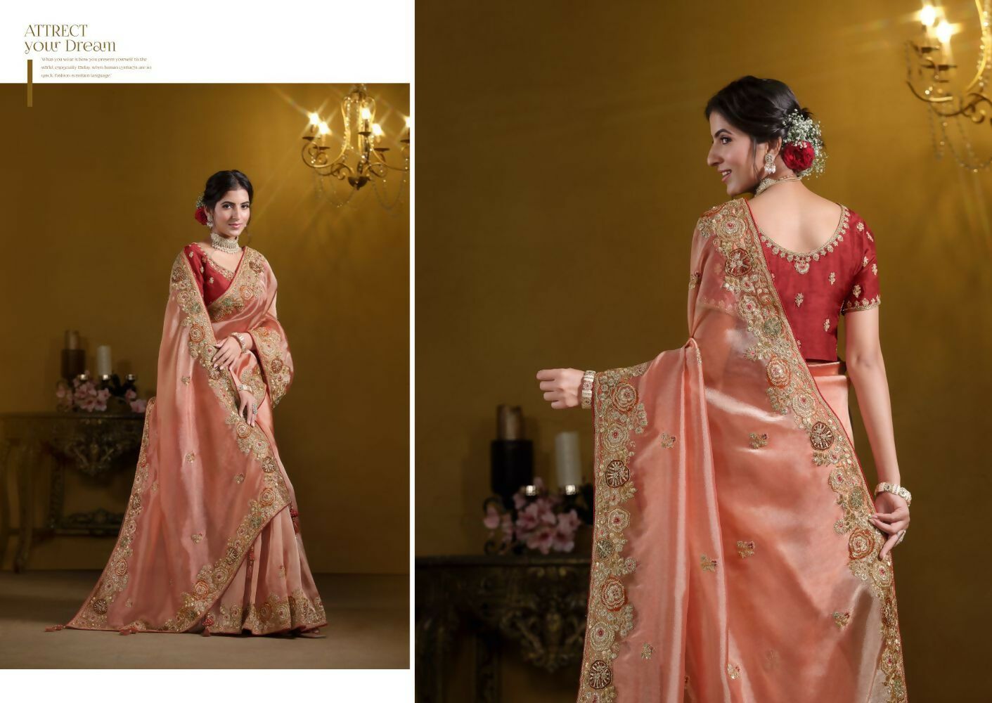 Orange Pure Twill Tissue Pure Khatli work Designer Saree With Blouse. - Rajasvi | Grocsy