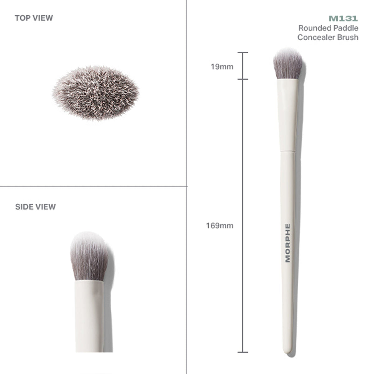 MORPHE M131 Rounded Paddle Concealer Brush | Grocsy