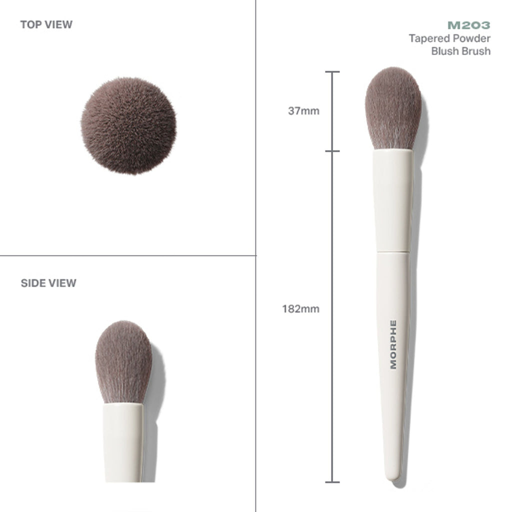 MORPHE M203 Tapered Powder Blush Brush | Grocsy
