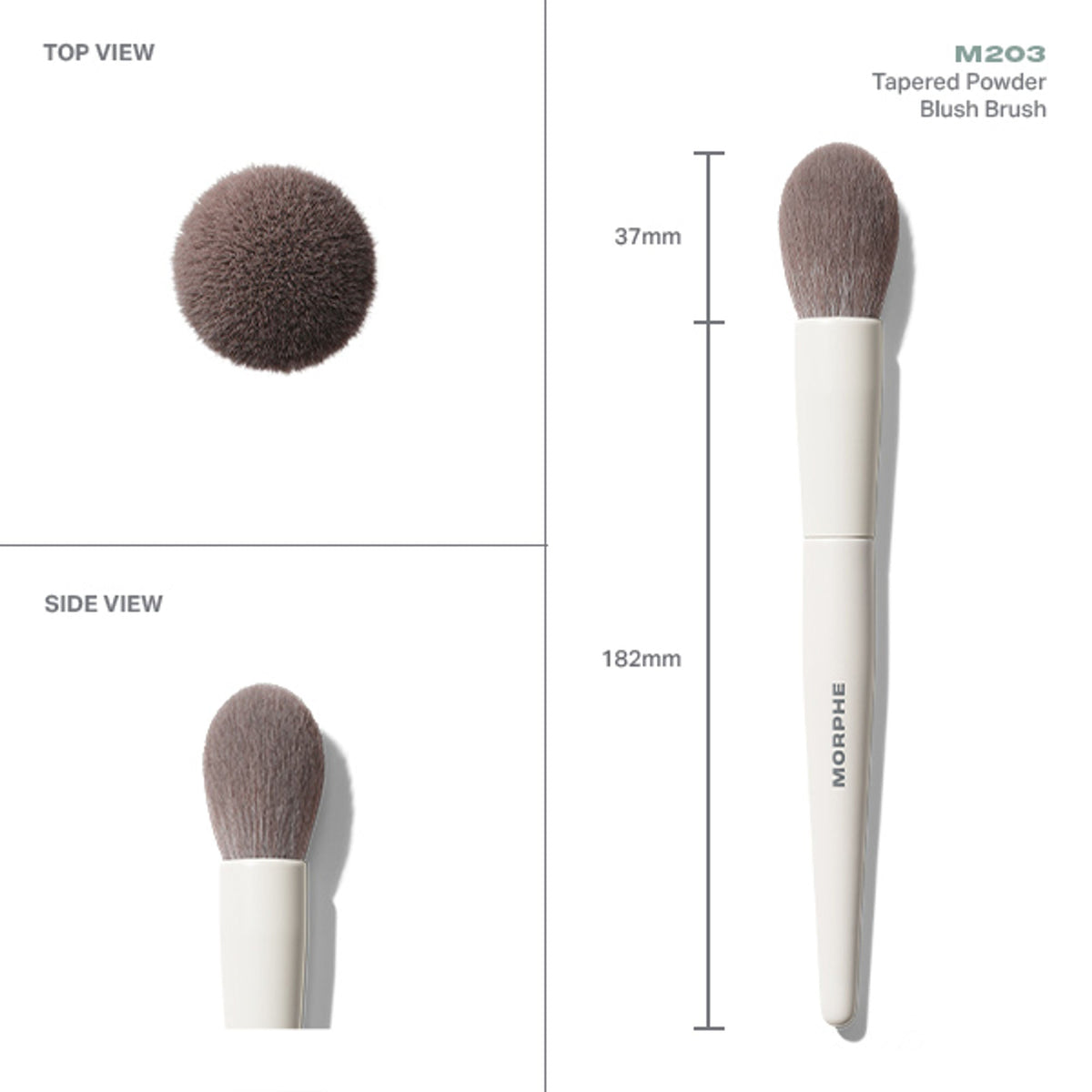 MORPHE M203 Tapered Powder Blush Brush | Grocsy