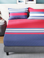 Nautica Bradford Red & Blue Striped 160 TC Pure Cotton King Bedsheet & 2 Pillow Covers | Grocsy