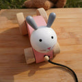 Matoyi Rabbit Wooden Pull Along Toy For Kids | Grocsy