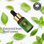 Old Tree 100% Natural & Pure Basil Essential Oil | Grocsy