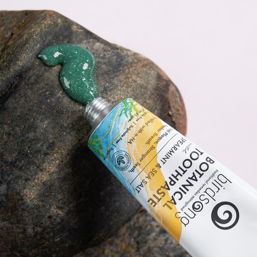 Birdsong Botanical Sea Salt and Spearmint Toothpaste | Grocsy