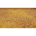 Raw Vaari / Dhanyalu / Dhanyam | Grocsy