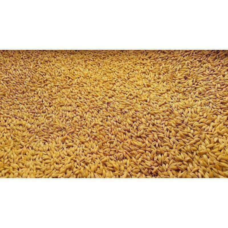 Raw Vaari / Dhanyalu / Dhanyam | Grocsy