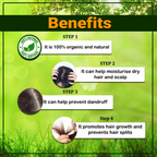 VedicAyurveda Bhringraj Leaf Powder and Hibiscus Powder | Grocsy