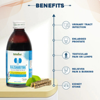 Rajasthan Herbals Rajshariyak Alkaliser Syrup | Grocsy