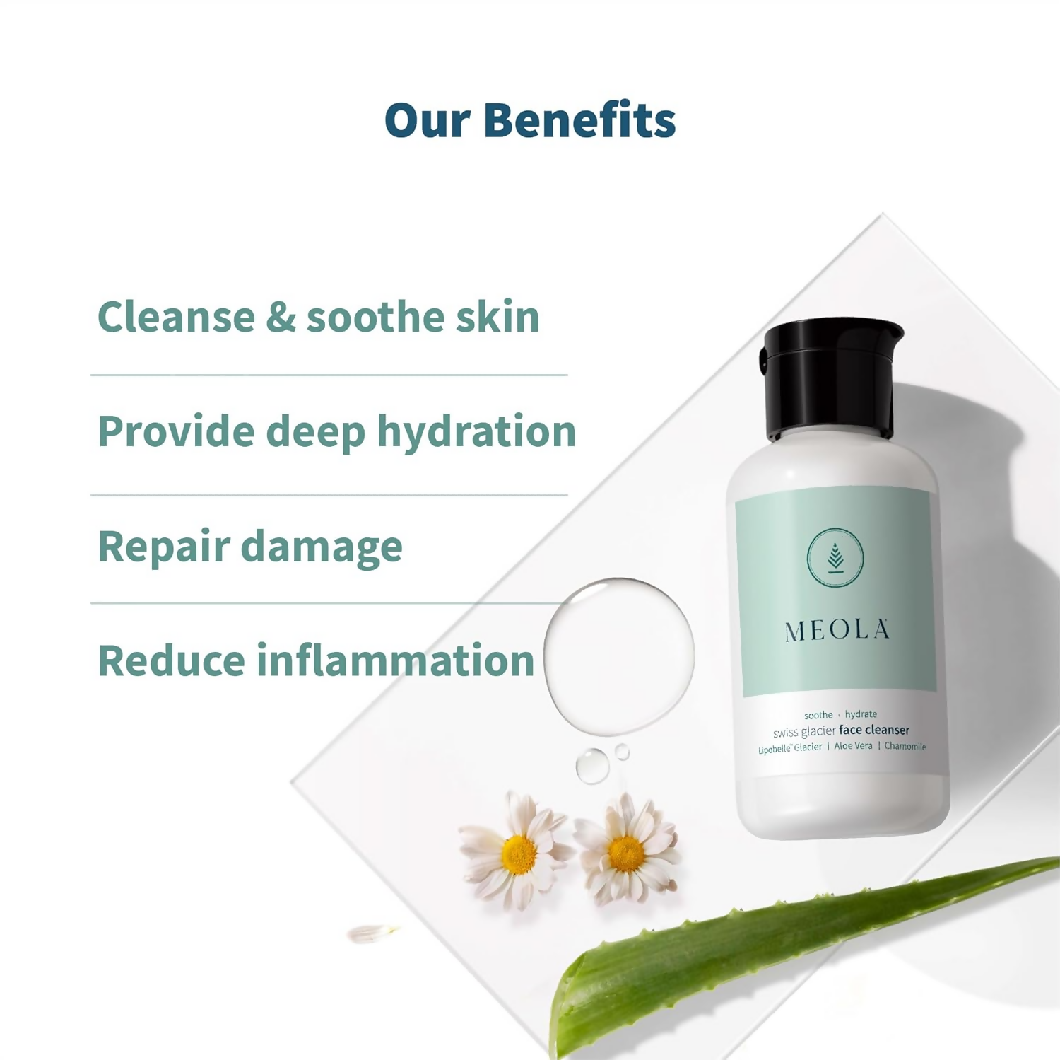 Meola Swiss Glacier Face Cleanser | Grocsy