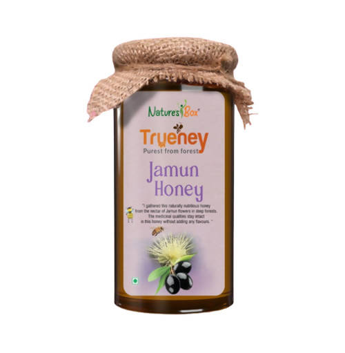 Nature's Box Trueney Jamun Honey | Grocsy