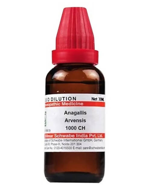 Dr. Willmar Schwabe India Anagallis Arvensis Dilution | Grocsy