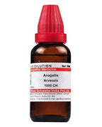 Dr. Willmar Schwabe India Anagallis Arvensis Dilution | Grocsy