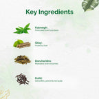 Dr. Vaidya's Liver Care Capsules | Grocsy