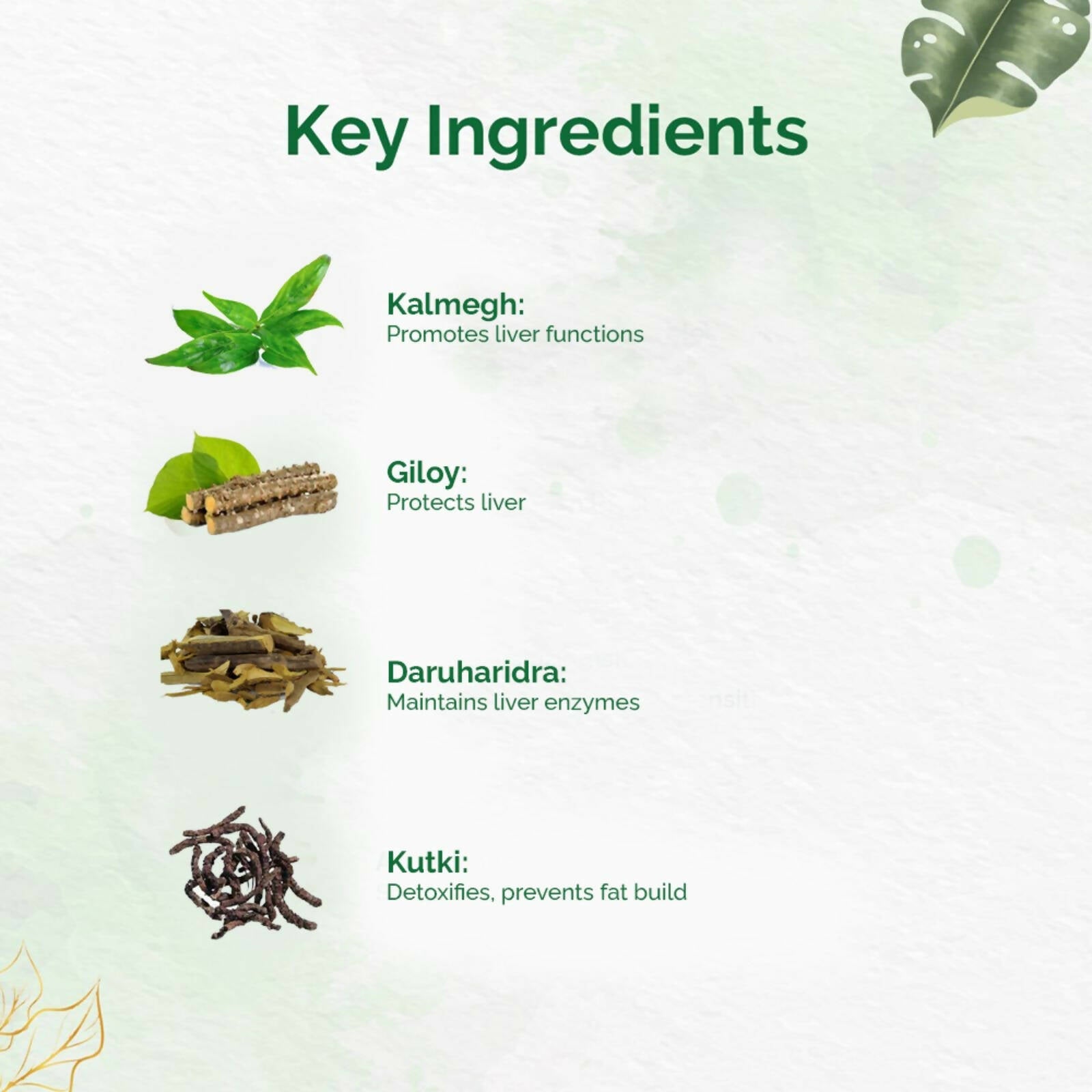 Dr. Vaidya's Liver Care Capsules | Grocsy