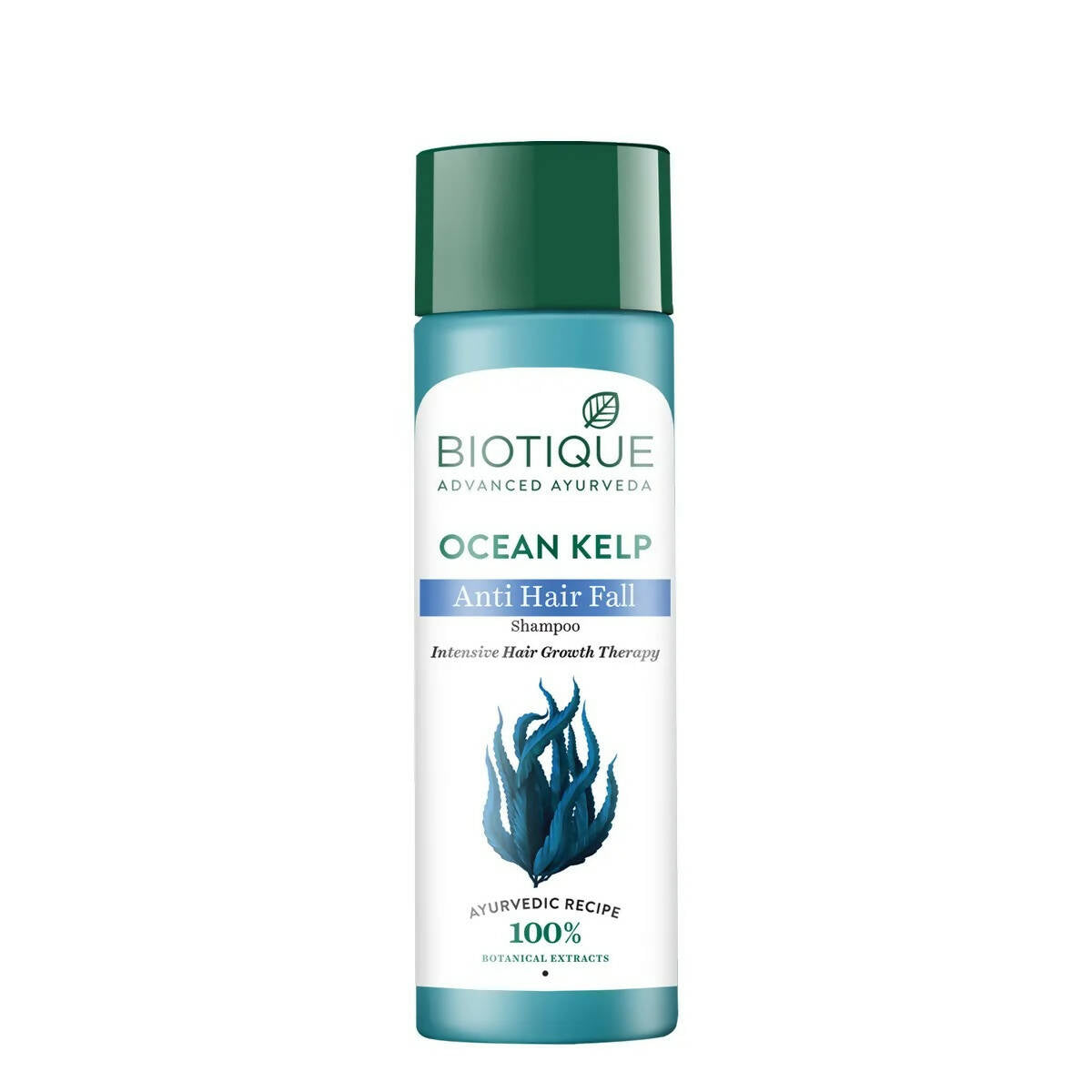Biotique Ocean Kelp Anti Hair Fall Shampoo | Grocsy