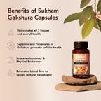 Sukham Organic Gokshura Capsules | Grocsy