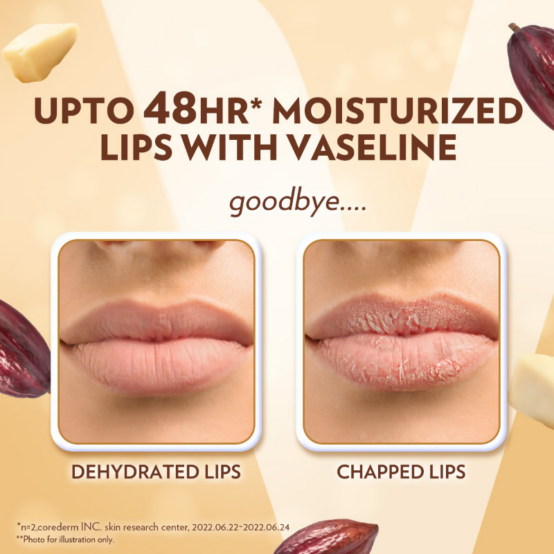 Vaseline Lip Care Lip Balm Stick - Cocoa Butter | Grocsy