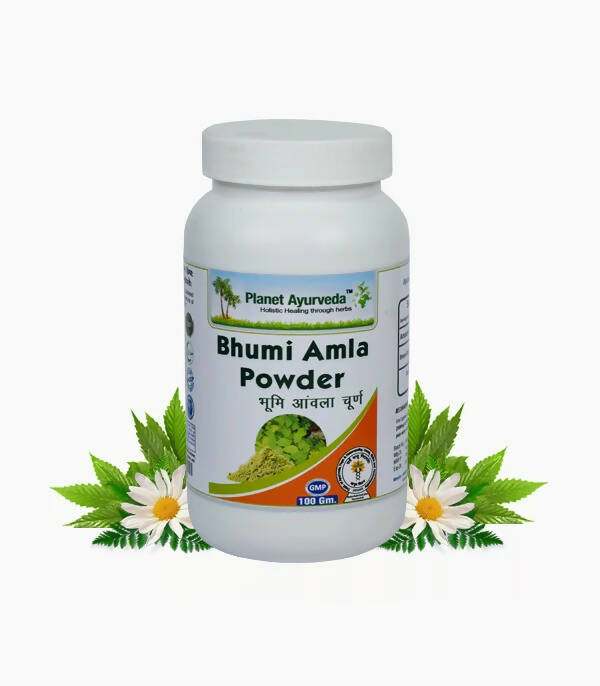 Planet Ayurveda Bhumi Amla Powder | Grocsy