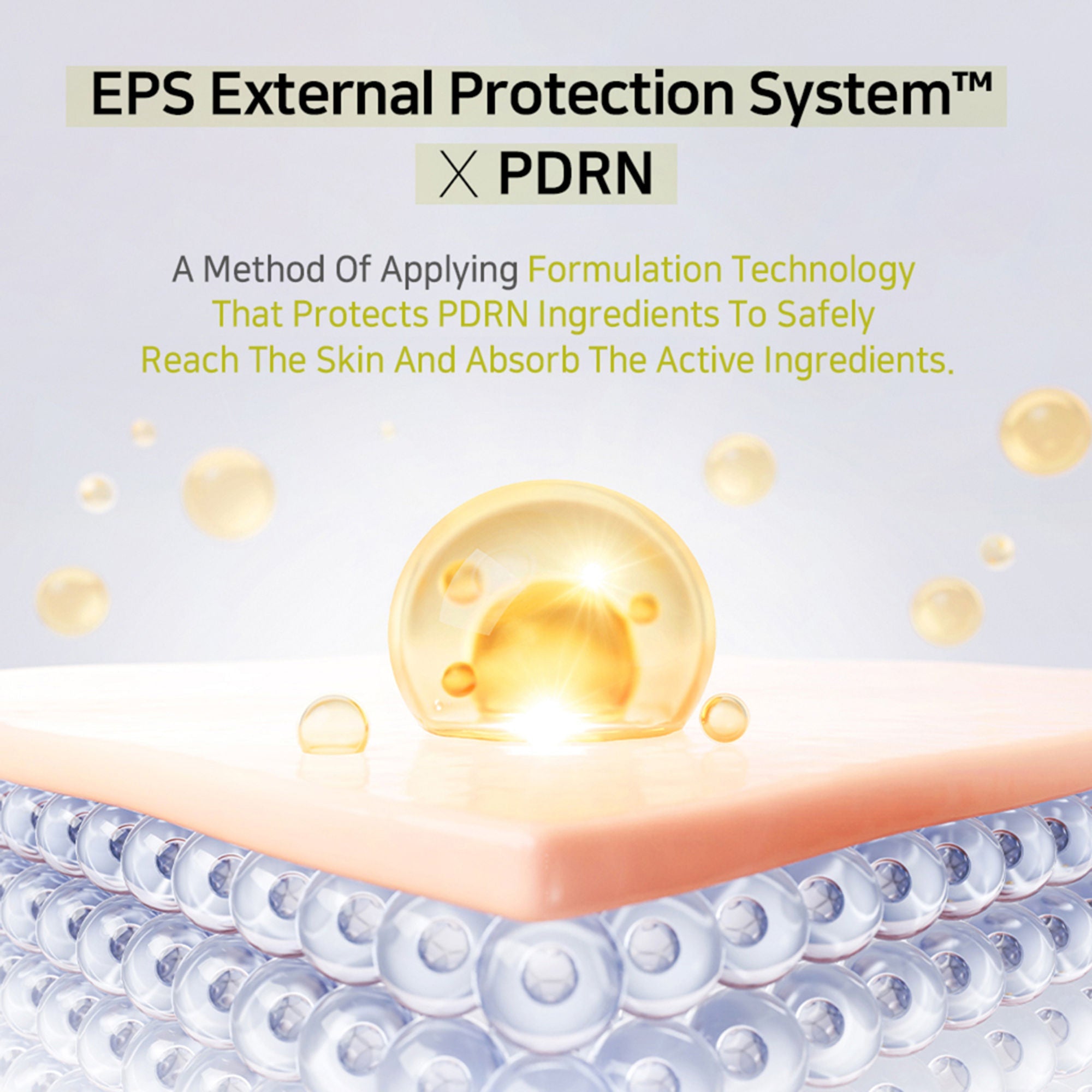 APLB Pdrn Vitamin C Ampoule Serum | Grocsy