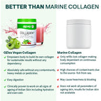 OZiva Vegan Collagen (Watermelon) with Biotin & Vitamin C For Brighter & Youthful Skin | Collagen Supplement For Women & Men | Plant Based Powder | Certified Vegan 125g + Shaker | Grocsy